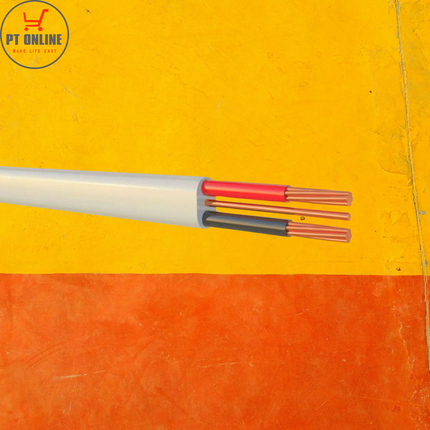 10MM FLAT TWIN + EARTH (per meter)