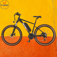 Flybrother MTB 301 E-Bike